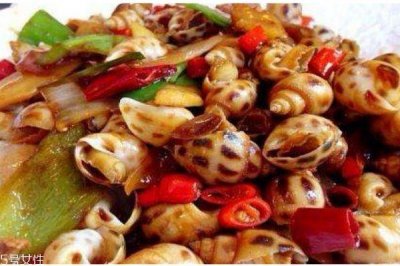 ​海螺生活在哪里呢 海螺有什么营养价值吗