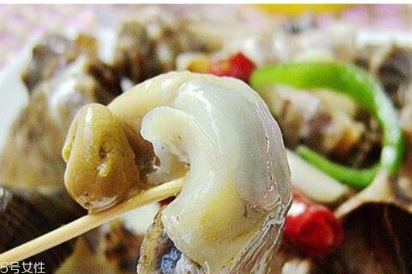 海螺生活在哪里呢 海螺有什么营养价值吗