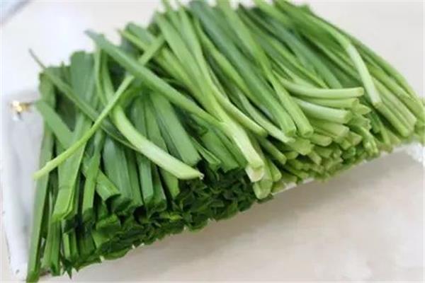 韭菜胃不好的人可以吃吗 韭菜什么人群不宜吃
