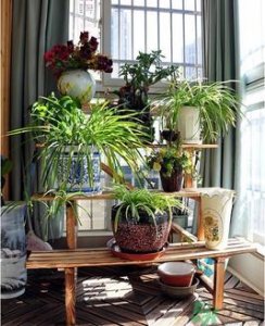 ​房子装修后多久才能住？房子装修后多久孕妇才能住？