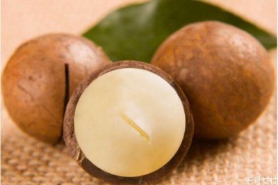 ​孕妇可以吃夏威夷果吗 孕妇吃夏威夷果有什么好处吗