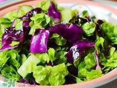 榆钱可以凉拌吗?凉拌榆钱的做法