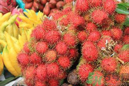 怎么挑选红毛丹？红毛丹的选购方法