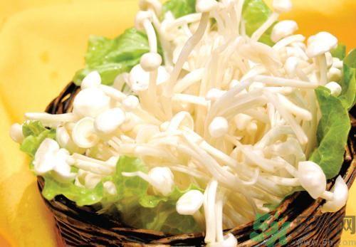 金针菇是凉性还是热性?金针菇是凉性的吗?