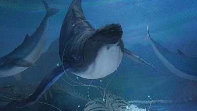 ​鲸落是什么意思，鲸落对海洋的意义