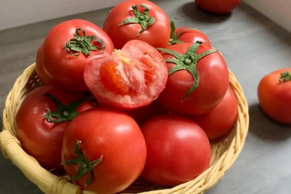 番茄是水果还是蔬菜 番茄要放冰箱吗