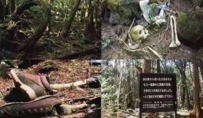 ​日本什么森林每年都死人（日本死亡森林有多恐怖）