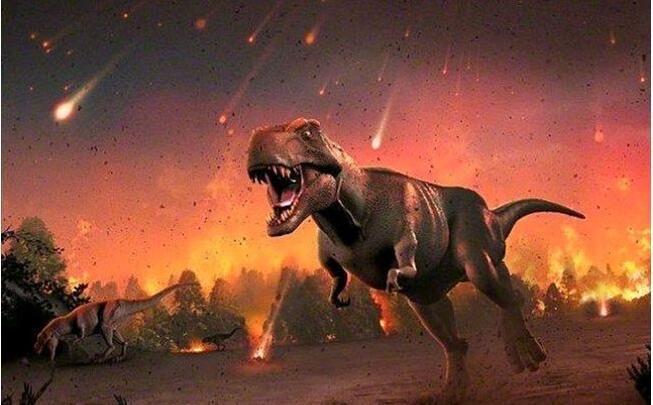 探秘生物大灭绝到底是什么(生物大灭绝有多可怕) 3