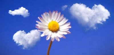 ​情绪失控摔东西大喊大叫