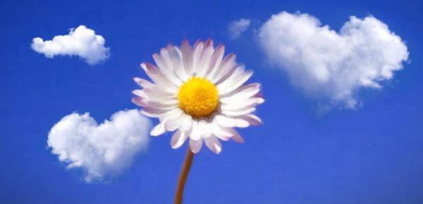 情绪失控摔东西大喊大叫