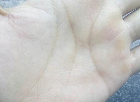 川字掌大多出名人