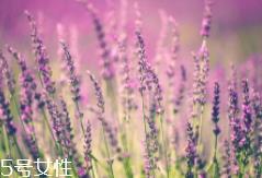 薰衣草精油能防晒吗？能隔离紫外线