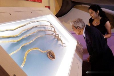 ​世界最长的指甲，长9.5米，留了66年没断，他是怎么生活的？