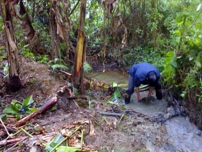 ​农村深山溪流中这种罕见的一种鱼，据说可以滋阴补虚强筋壮骨