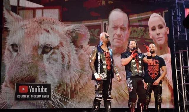 WWE送葬者十大奇葩比赛,前面的太恐怖,最后两场被骂侮辱智商!