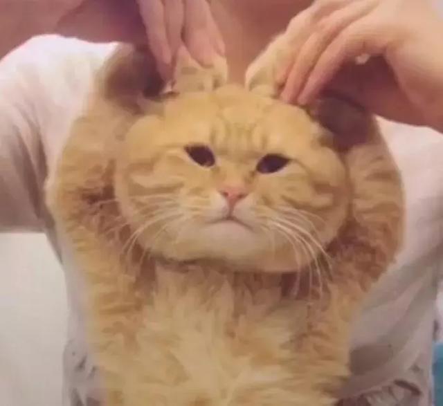 LOL最高等级已突破天际,网友十分无奈