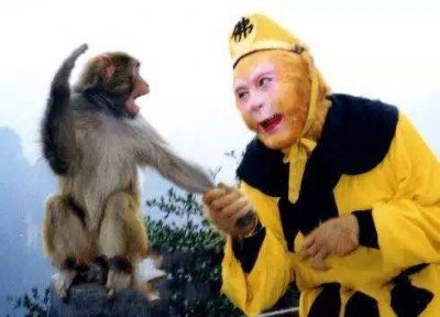 ​最大的猴子世界上最大的猴子是什么猴子