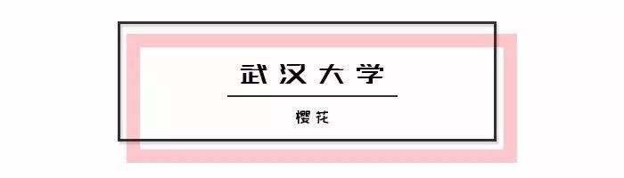 武汉20所高校校花新鲜出炉，最漂亮的竟然是……