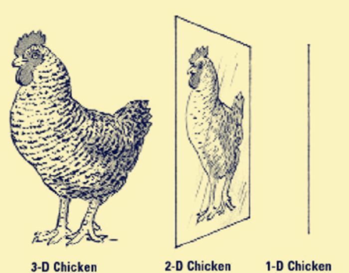 十维空间里的生物有多变态？