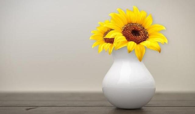 静水流深，沧笙踏歌（深度好句）