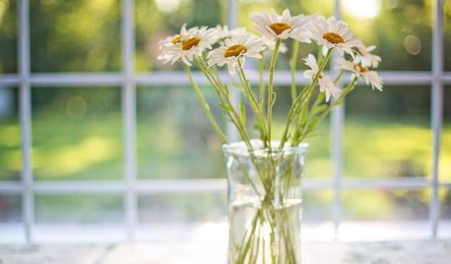 静水流深，沧笙踏歌（深度好句）