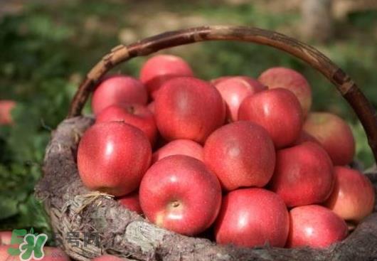 阿克苏苹果什么时候上市?阿克苏苹果几月上市? 阿克苏苹果什么时候上市?阿克苏苹果几月上市?