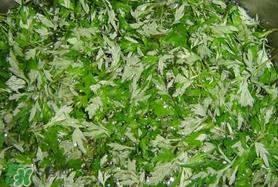 蒿子什么时候有?蒿子什么时候长? 蒿子什么时候有?蒿子什么时候长?