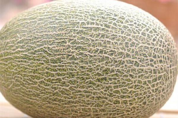 哈密瓜吃多了会怎样 哈密瓜一次吃多少为宜 哈密瓜吃多了会怎样 哈密瓜一次吃多少为宜