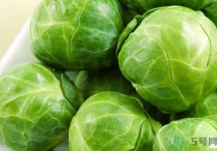 孕妇可以吃包菜吗？孕妇吃包菜好吗？