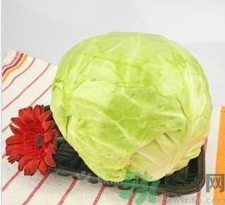 孕妇可以吃包菜吗？孕妇吃包菜好吗？
