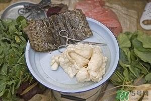 吃蛇肉有什么好处?蛇肉的营养价值及功效 吃蛇肉有什么好处?蛇肉的营养价值及功效