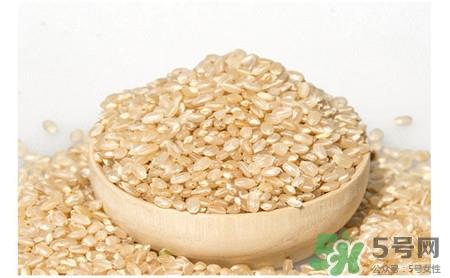 胚芽米的营养价值 胚芽米的功效与作用 胚芽米的营养价值 胚芽米的功效与作用