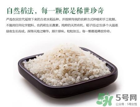 胚芽米的营养价值 胚芽米的功效与作用 胚芽米的营养价值 胚芽米的功效与作用