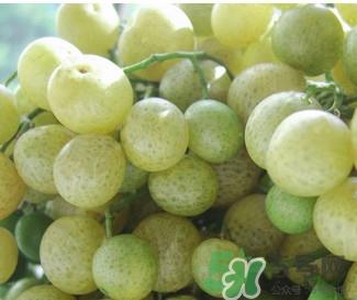 山黄皮怎么腌制成甜的?山黄皮酱的制作方法 山黄皮怎么腌制成甜的?山黄皮酱的制作方法