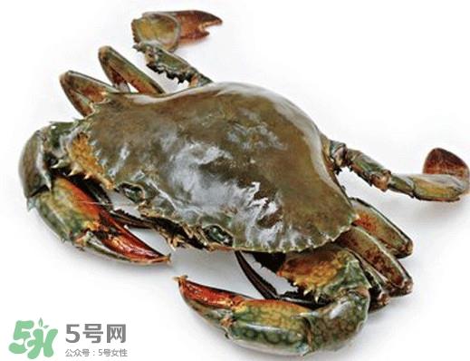 石夹红是青蟹吗?青蟹和石夹红螃蟹的区别 石夹红是青蟹吗?青蟹和石夹红螃蟹的区别