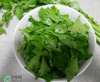 芹菜叶能吃吗?芹菜叶可以吃吗 芹菜叶能吃吗?芹菜叶可以吃吗