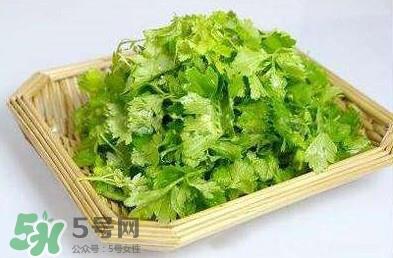 芹菜叶能吃吗?芹菜叶可以吃吗 芹菜叶能吃吗?芹菜叶可以吃吗