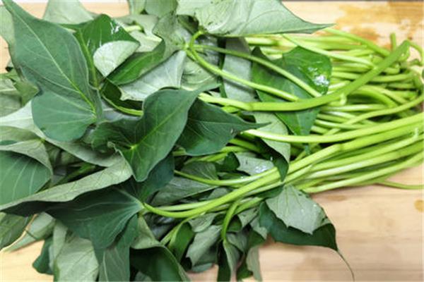 红薯叶糖尿病人可以吃吗 红薯叶什么人不宜吃 红薯叶糖尿病人可以吃吗 红薯叶什么人不宜吃