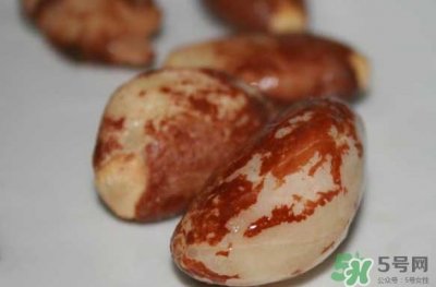 ​榴莲核能种吗？榴莲核怎么种盆栽？