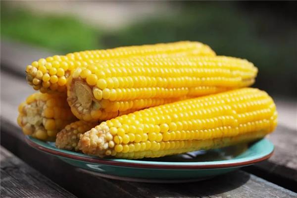 煮玉米的水能喝吗 煮玉米的水有什么功效和作用