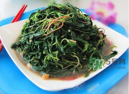 野苋菜怎么做好吃？野苋菜怎么保存