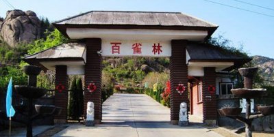 ​青岛百雀林生态观光园，崂山下一个秀丽的风景区，你去过吗？