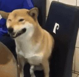 秦时明月的CP组合，你喜欢那一对呢？