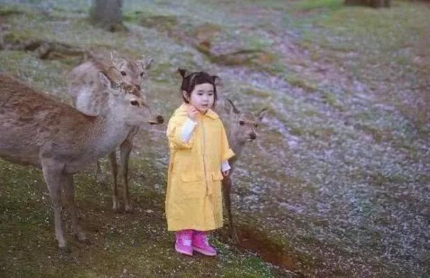 当初那个吃播小蛮长大了,调皮可爱还成了时尚宝宝,仍然很爱吃