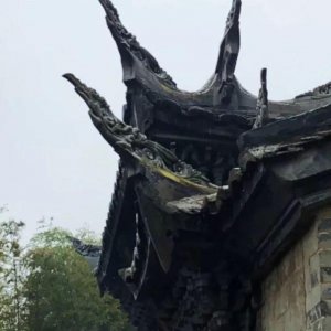 ​响亮的名片！“政和白茶，中国味道”！