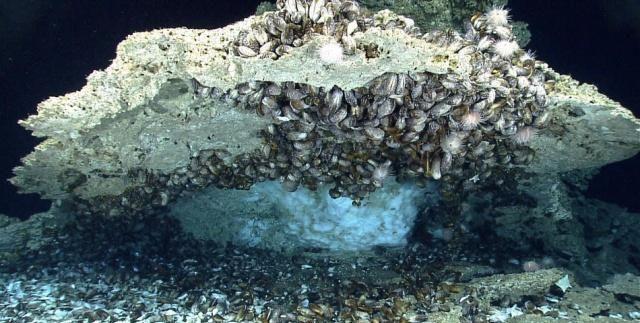 神秘可燃冰竟然长这样：海底深处沉睡的能量！