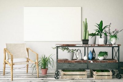 ​如何种植香草兰