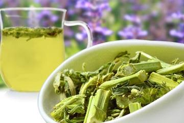 益母草是凉性还是热性 益母草属凉性 益母草是凉性还是热性 益母草属凉性