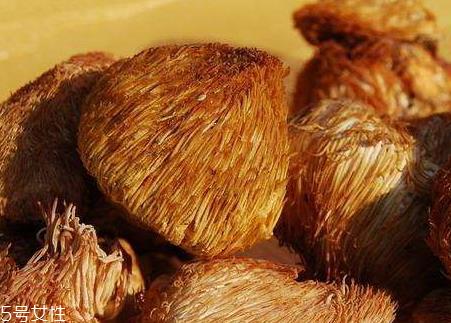 猴头菇发黄了还能吃吗 猴头菇的颜色是什么样子