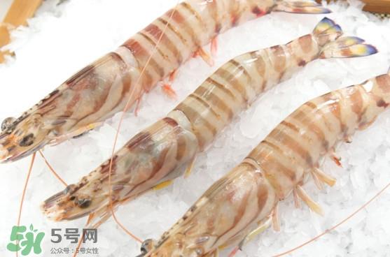 竹节虾是海里的吗？竹节虾是海虾还是河虾